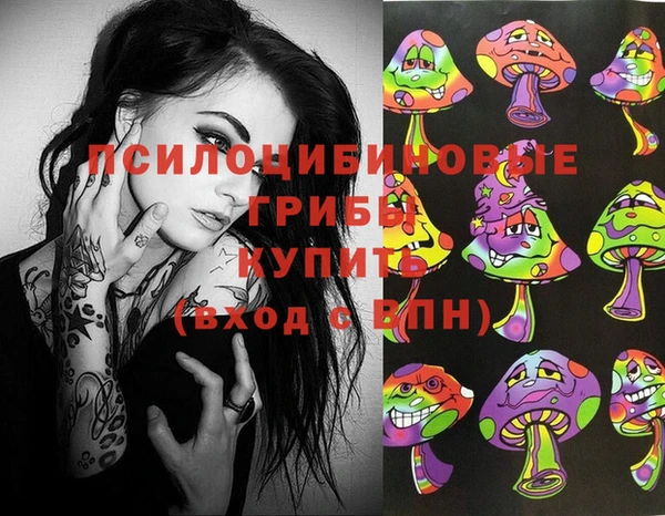 ешки Верея