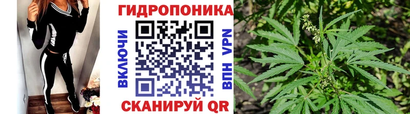 Каннабис гибрид  Купить где  Кемерово 
